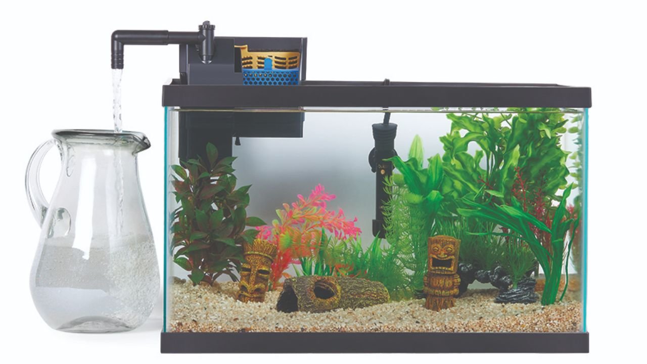 Best Fish Tank Filters