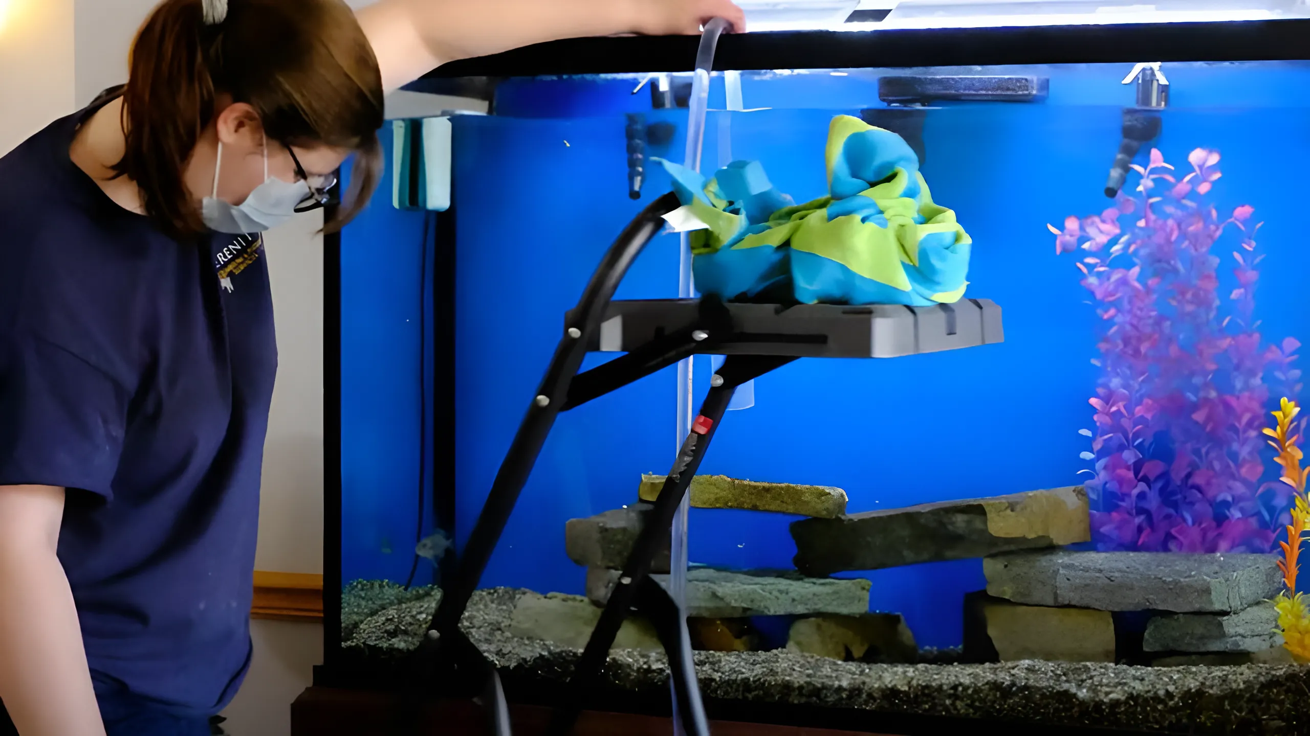 fish tank maintenance tips