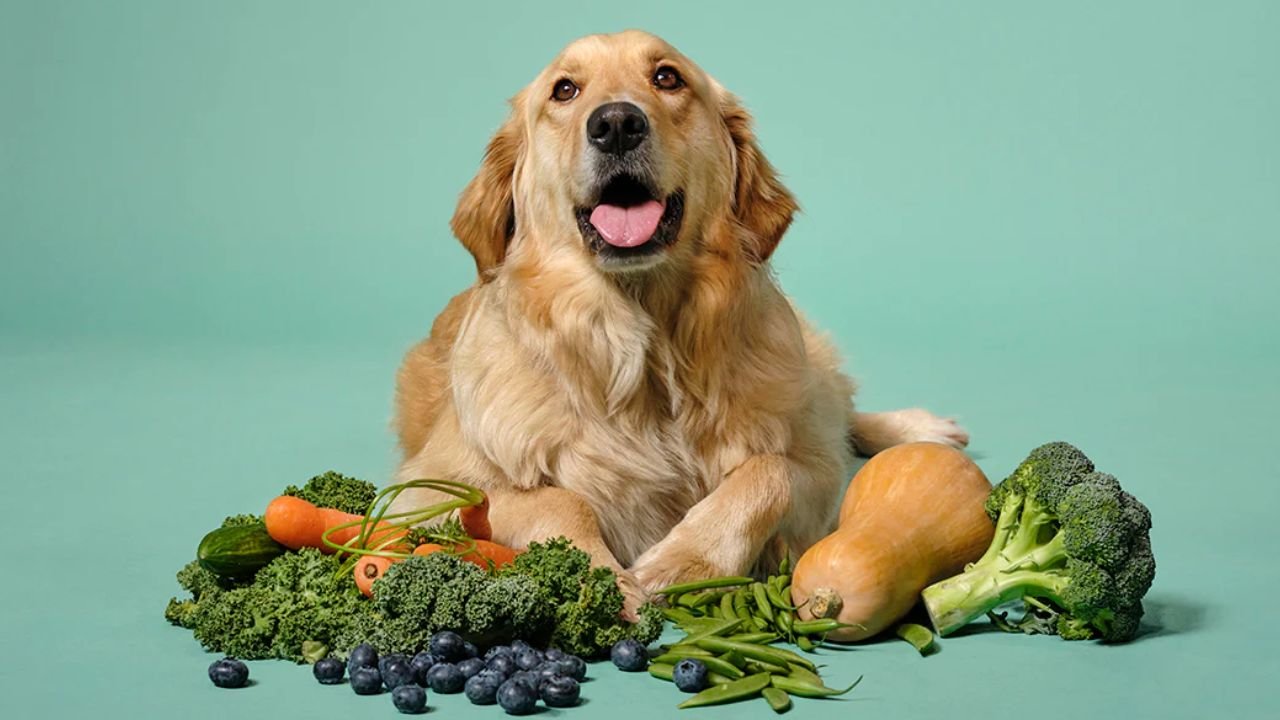 Veggies for Dogs