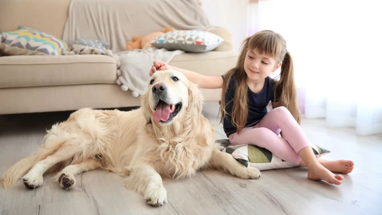 Best Dog Breeds for Families: Choosing Your Perfect Pet 